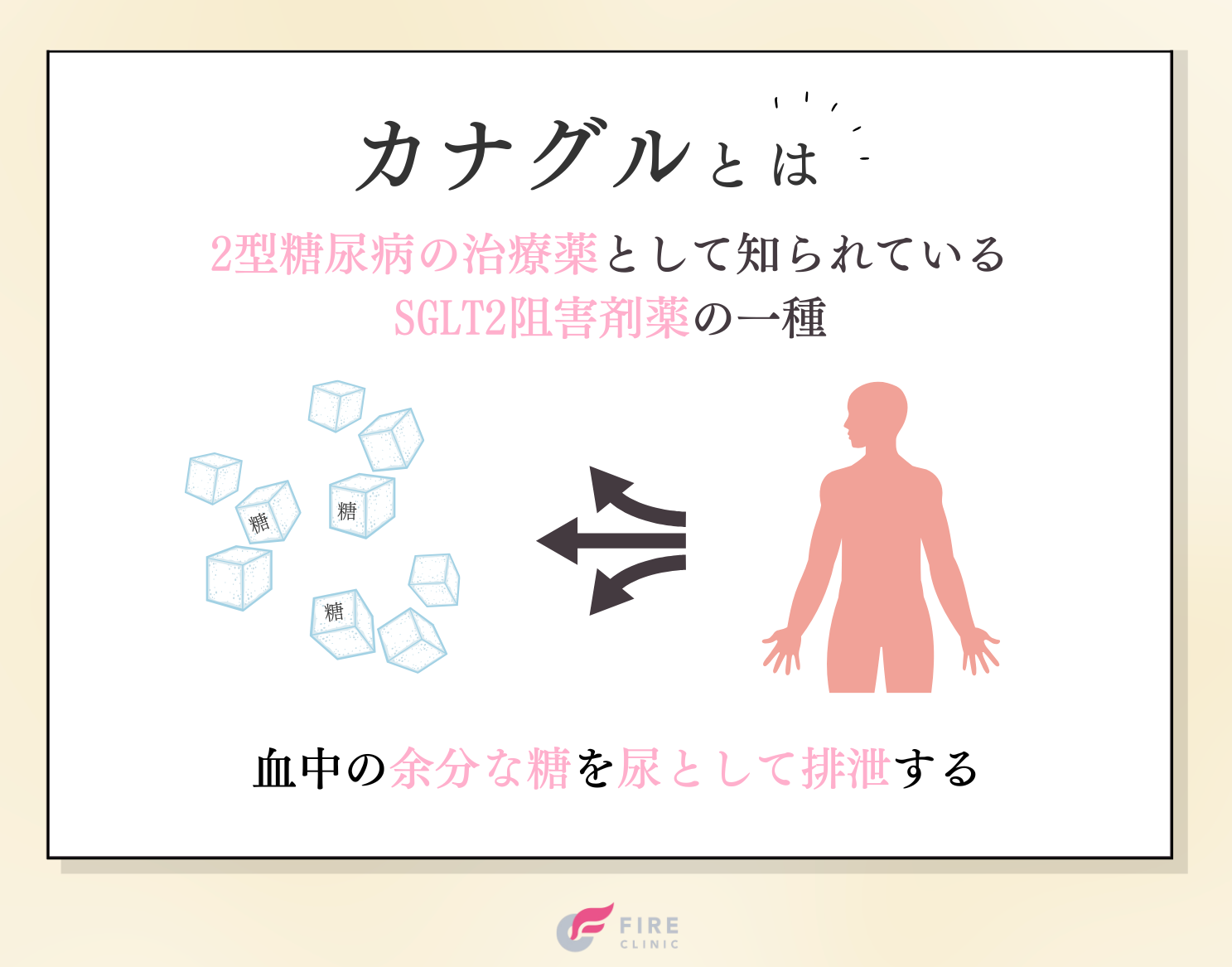 カナグル（カナグリフロジン）は尿から糖を排出するSGLT2阻害剤