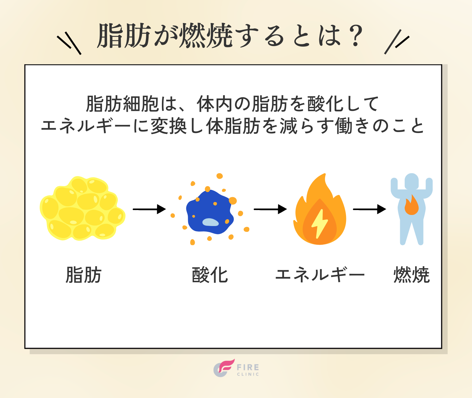 そもそも脂肪が燃焼するとは？