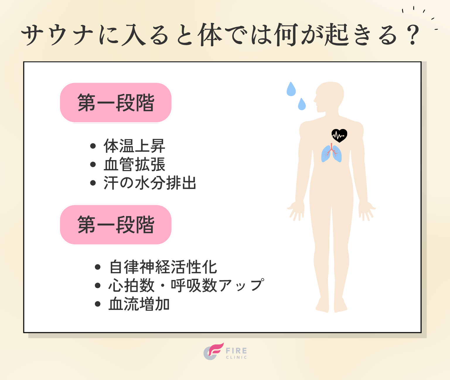 サウナに入ると体では何が起きる？