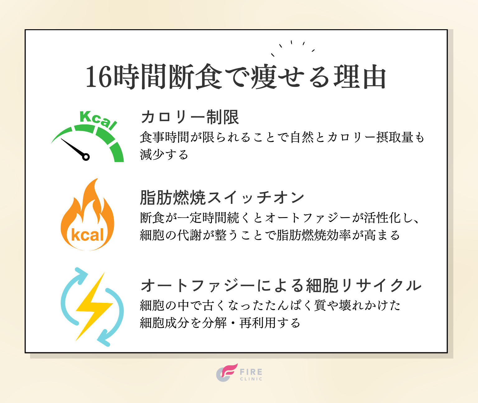 16時間断食で痩せる理由