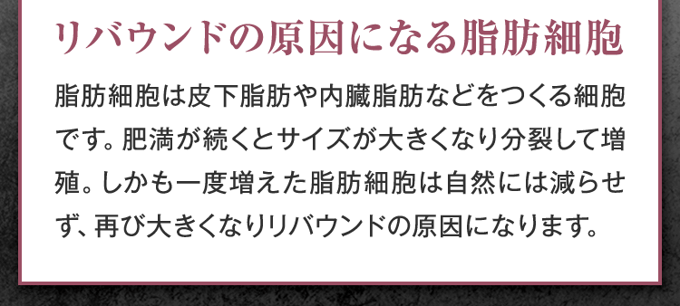 リバウンドの原因になる脂肪細胞