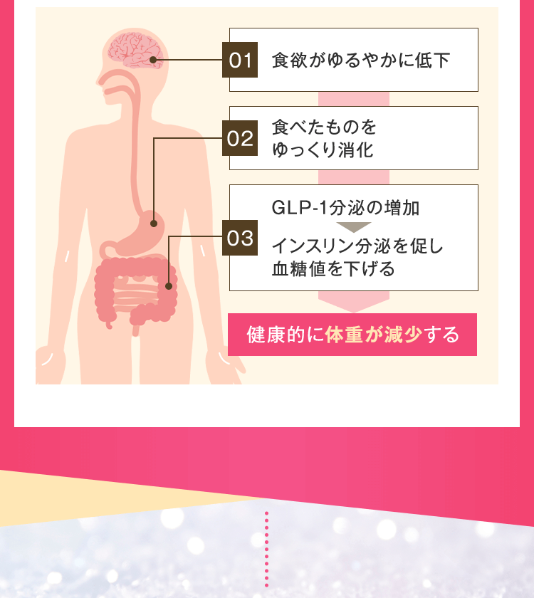 健康的に体重が減少する