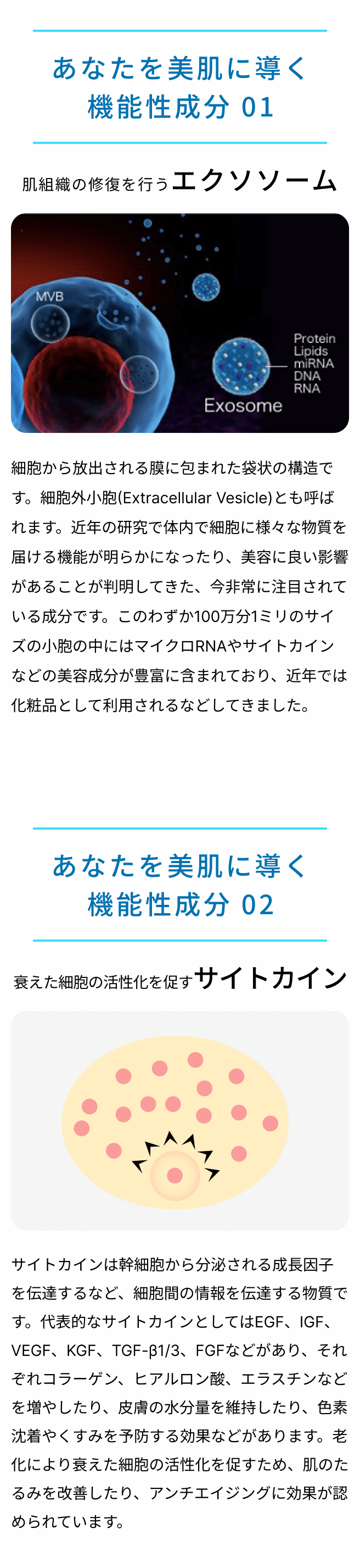 あなたを美肌に導く機能性成分、エクソソーム、サイトカイン