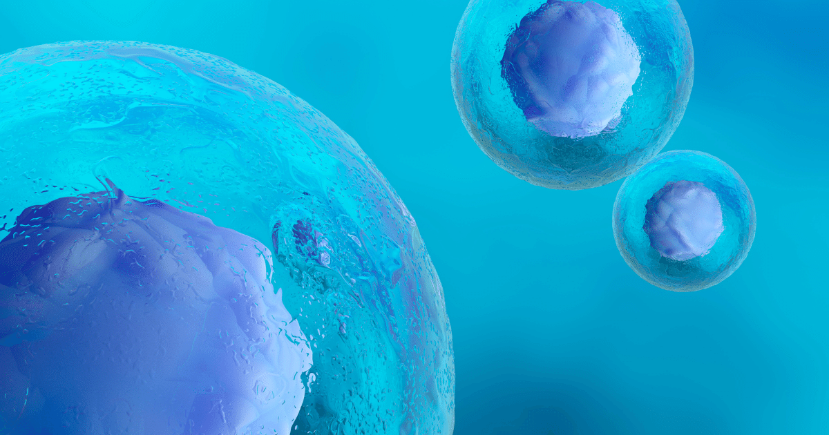 ヒト幹細胞