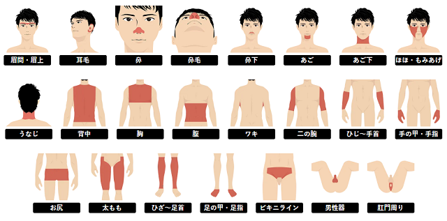 メンズリゼで脱毛できる部位