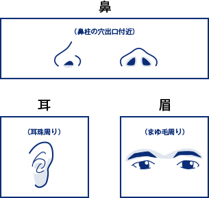 身だしなみプランの部位