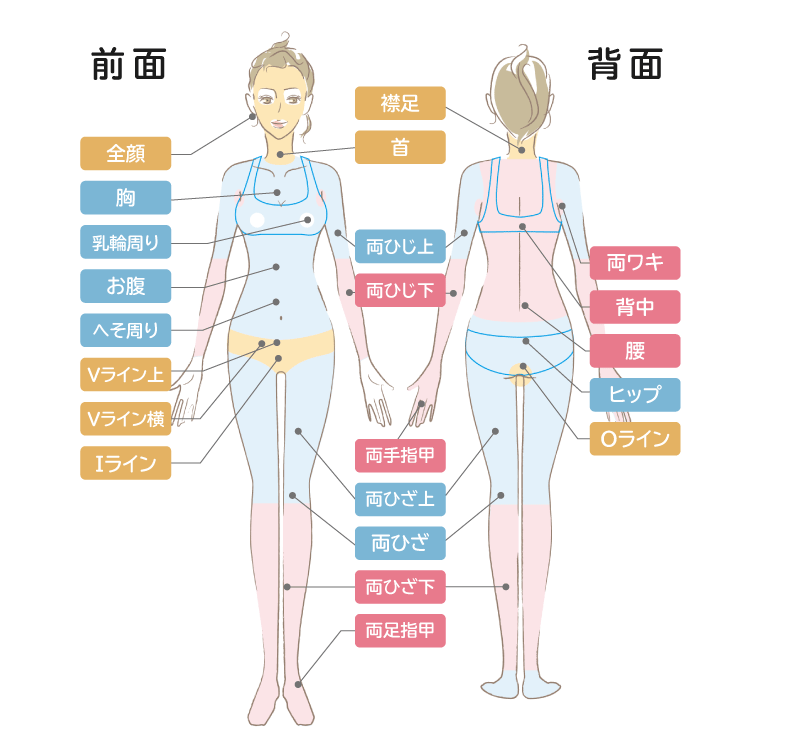 ルシアクリニック全身脱毛コース