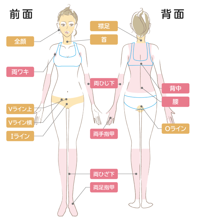 ルシアクリニックシンプル全身脱毛コース