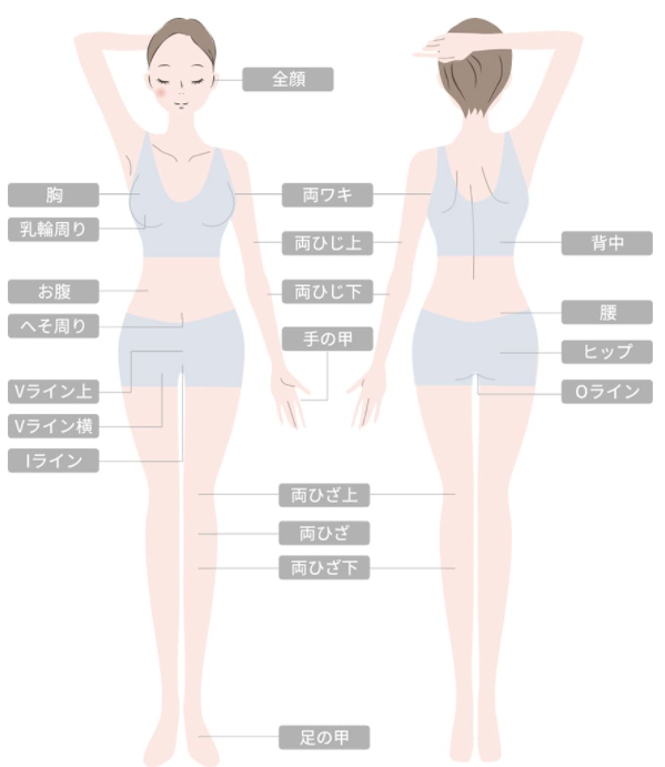 カンナム美容外科の施術範囲