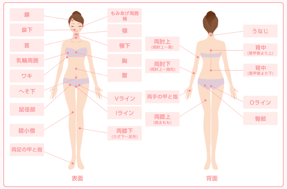 湘南美容クリニックの全身脱毛コース