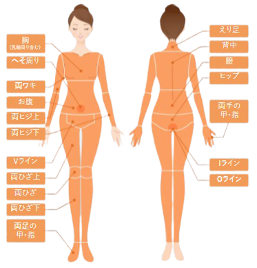 アリシアクリニックの全身脱毛の範囲