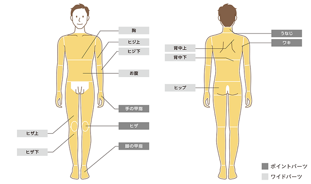 ボディ脱毛の部位