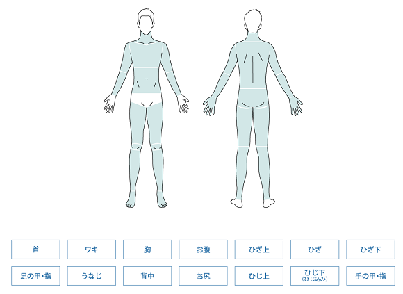 全身脱毛の部位