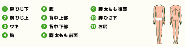 全身脱毛の部位