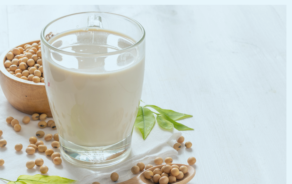 豆乳発酵液