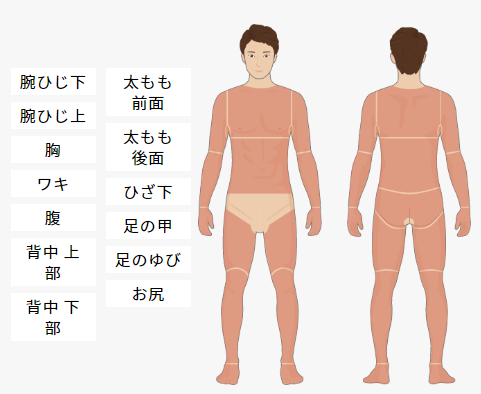 全身脱毛の部位