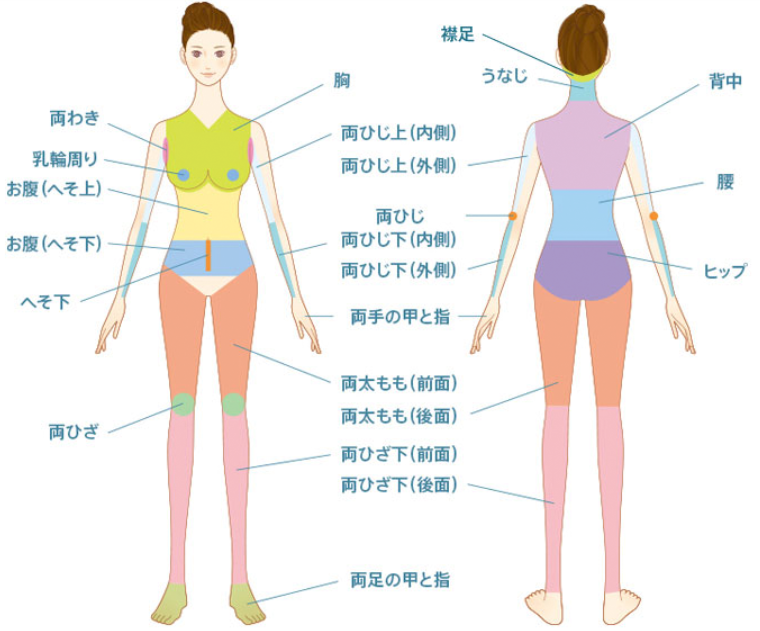 聖心美容クリニック施術部位１