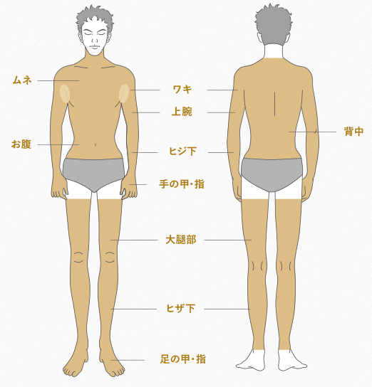 ボディ脱毛の箇所