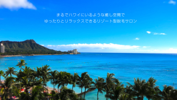 CoCoPoKiの紹介