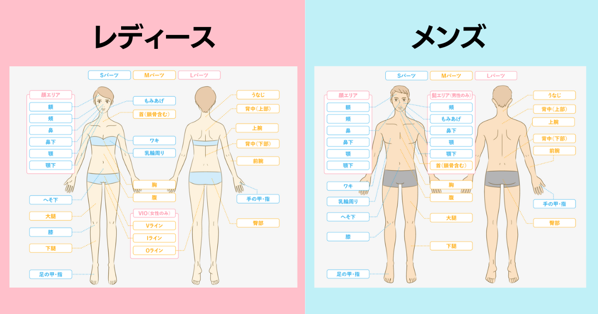 アイシークリニック施術部位