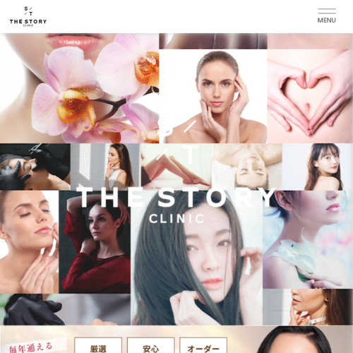THE STORY CLINIC