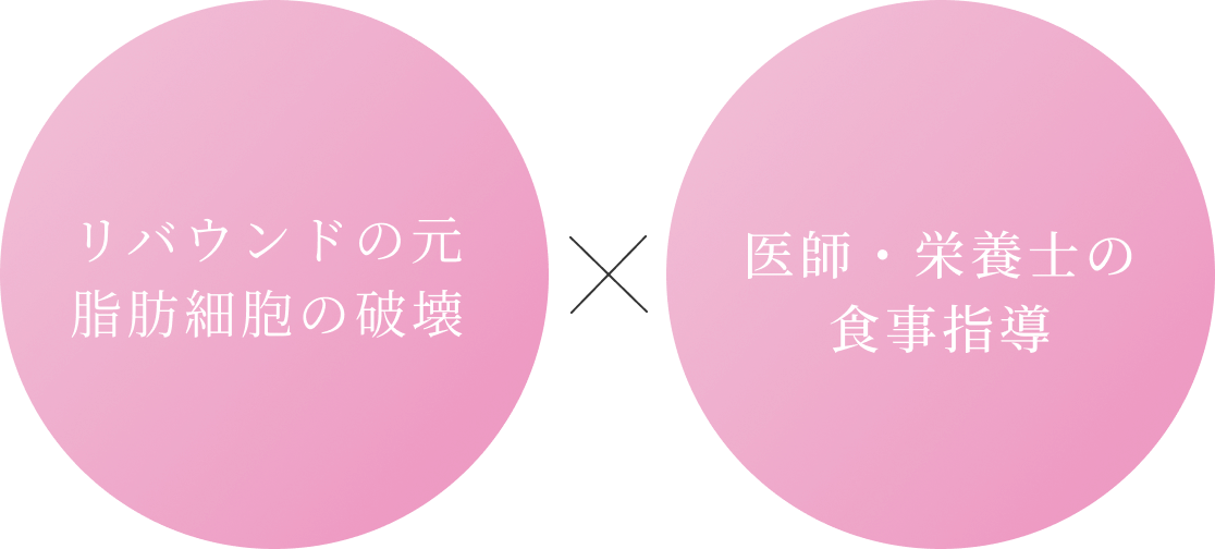 rebound_02