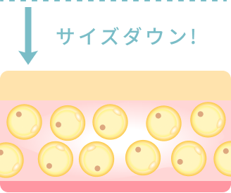 脂肪細胞が減ることで、サイズダウン