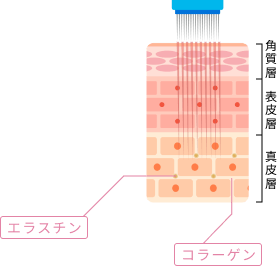 お肌を元通りに治そうとする力が働く