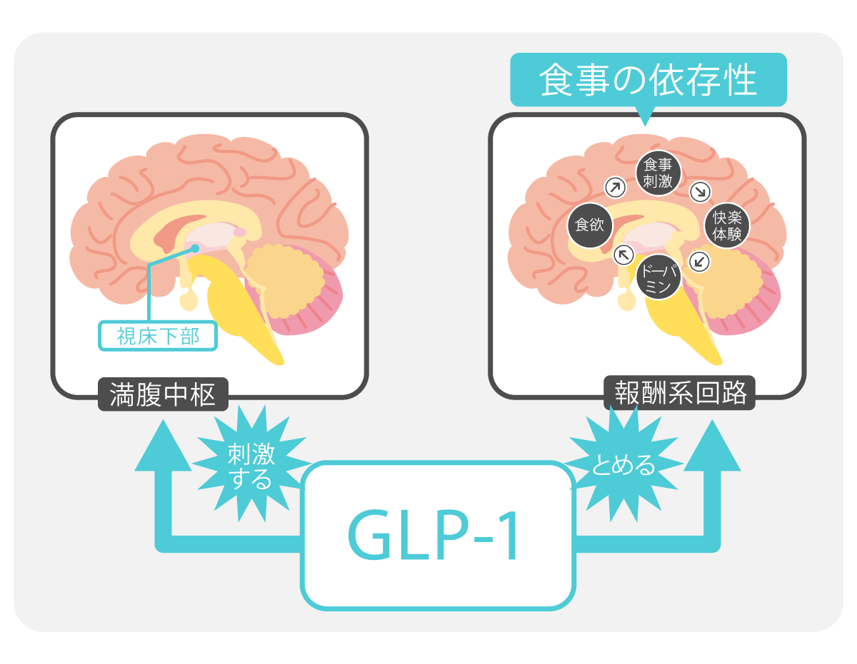 GLP-1「サクセンダ・リベルサス」