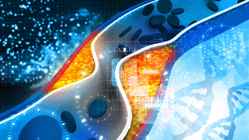 コレステロールのはたらき【高いと何が問題？】